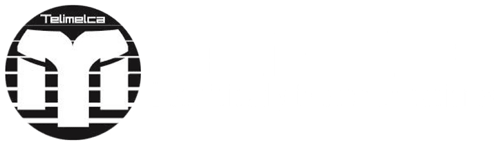 Logo 1